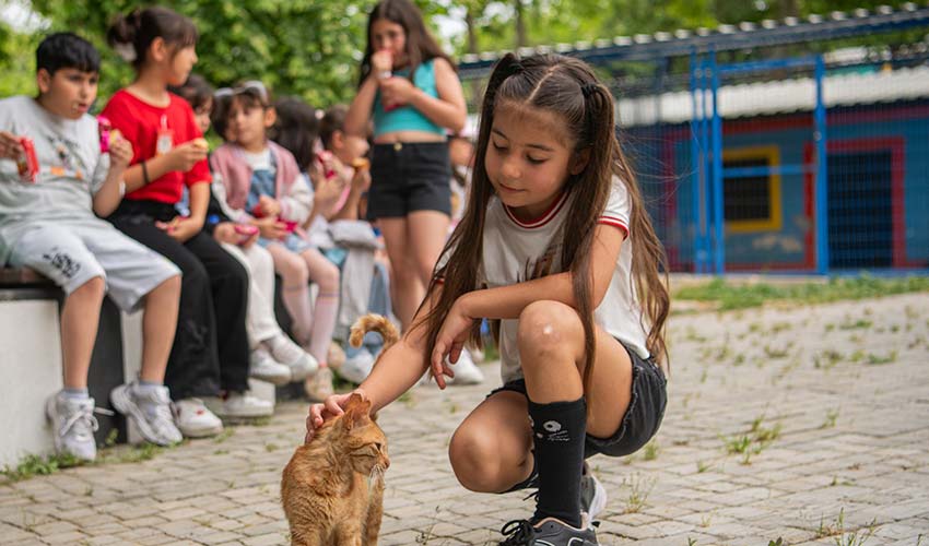 Evcil Dost Bakımı 2025: Veterinerlerden En Yeni Öneriler